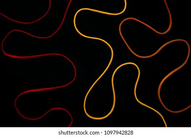 colorful thread string In various curved forms on black background.
