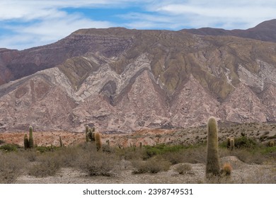 Colorful Tintin Mountains and cardoon cacti, Trichocereus pasacana, in the Enchanted Valley. Location: Cardon National Park, Argentina