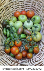 A colorful tomato harvest in summer.
