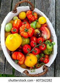 Colorful Tomatoes In Basket