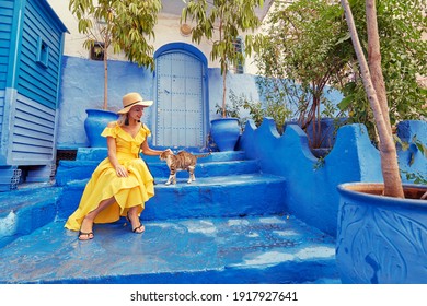 Colorful traveling by Morocco. Young woman in yellow dress playing with cat in medina of  blue city Chefchaouen. - Powered by Shutterstock