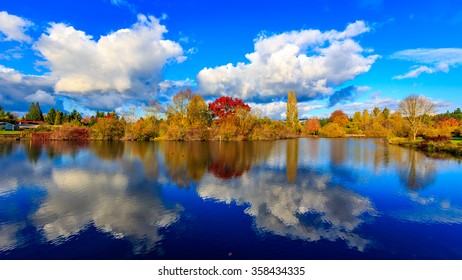 Colorful tree leaves by the lake, in Commonwealth Lake Park, Beaverton, Oregon.