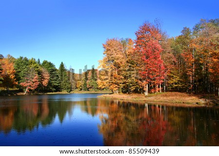 Colorful tree reflections in beautiful lake in Autumn