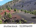 Colorful, tree-dotted volcanic landscape at Sunset Crater Volcano National Monument in Arizona. 