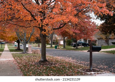 Colorful Trees During Fall Along A Suburban Neighborhood Sidewalk And Street In Illinois With A Mailbox