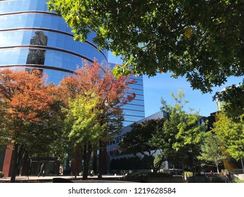 Colorful Trees On Peachtree Street, Atlanta