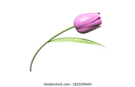 Per koffer Luchten 3d tulip Stock Photos, Images & Photography | Shutterstock