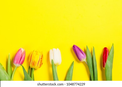 Colorful Tulips Flowers In A Row On Yellow Background With Free Space. Mothersday Or Spring Concept.