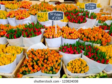 Colorful Tulips On Sale In Amsterdam Flower Market