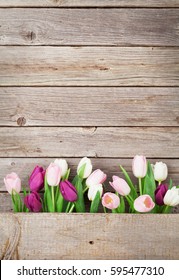 Colorful tulips over wooden background. Easter card with space for your greetings