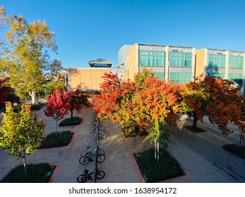 Colorful University Of California Riverside Campus