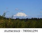 Colorful view of Mount Rainier during spring season from Joint Base Lewis McChord (JBLM), Washington state.  