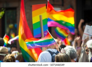 Colorful View Of Rainbows Flags And Signs Held In An Unrecognizable Crowd At A Gay Pride Parade In The City