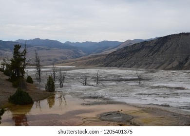 Colorful views of Mammoth springs Yellowstone national park due to geologic formations of travertine calcium carbonate precipitate and living organisms adapted to hot water by the grand loop road