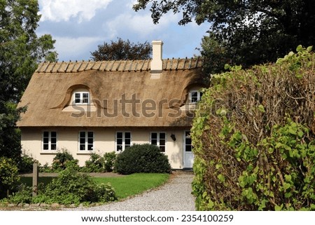 Colorful village house with thatched cottage. Thatched roof. Denmark. 
