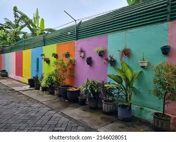 Colorful Walls In A City Alley With Decorative Plants In Pots Attached To The Wall