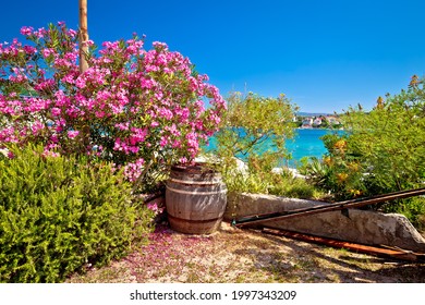 Colorful waterfront of Adriatic island of Krapanj, Sibenik archipelago, Dalmatia region of Croatia