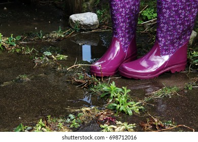 Colorful Water-resistant Rubber Boots In Rain, Flood And Gardening