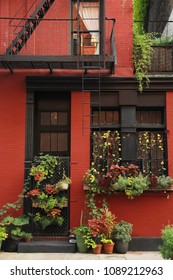 Colorful West Village, NYC Plants In Autumn 