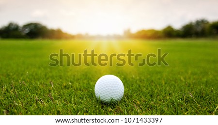 Colorful of White Golf ball on Green field golf course in morning time with soft sunlight.	