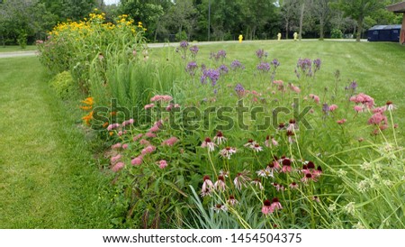 Colorful Wildflower Butterfly Garden with a variety of native plants and flowers