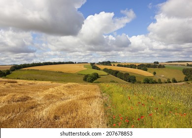 a colorful wildflower meadow with wheat fields trees and hedgerows under a blue cloudy sky in summer on the yorkshire wolds england - Powered by Shutterstock