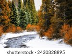 Colorful winter mountain stream with snowy banks located in the mountains outside Keystone, Colorado