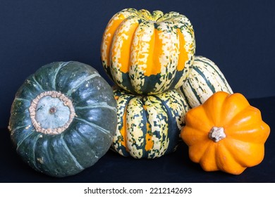 Colorful Winter Squash From The Garden Perfect For Roasting And Serving At The Dinner Table.