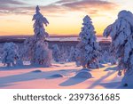 Colorful winter sunrise at Riisitunturi National Park in Northern Finland. Trees under heavy loads of snow