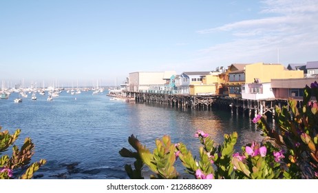 Colorful Wooden Houses On Piles Or Pillars, Ocean Bay Or Harbor, Sea Water. Old Fisherman's Wharf. Yachts, Sail Boats In Monterey Marina, California Coast USA. Tourist Beachfront Promenade, Flowers.