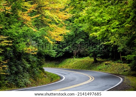 Colorful yellow orange foliage in autumn fall season in Blackwater Falls State Park, West Virginia with paved asphalt curvy winding road