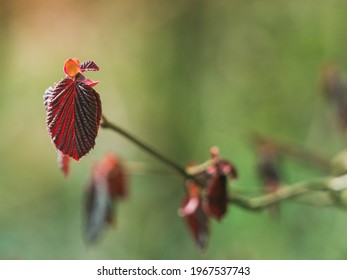 Humour Printemps Images Photos Et Images Vectorielles De Stock Shutterstock