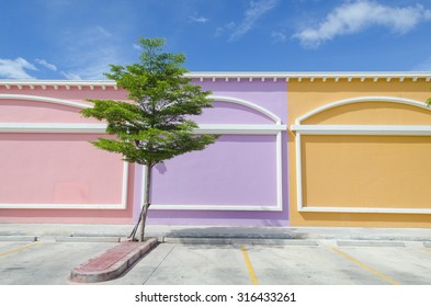 colorfull wall with tree