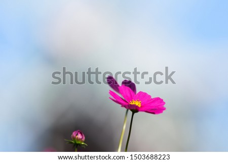 Similar – Image, Stock Photo momentariness Colour photo