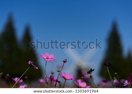 Similar – Image, Stock Photo flowery airfield Runway