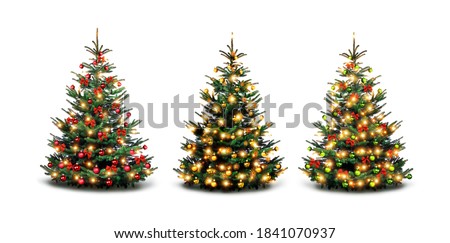 Colorfully decorated Christmas trees against a white background