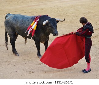 Red Cape Bull Images Stock Photos Vectors Shutterstock