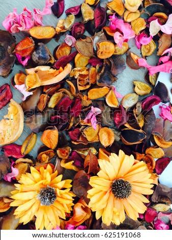 Similar – Autumn flowers and leaves decoration with bunch of flowers