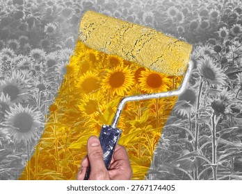 Coloring the world. Creative abstract image of a sunflower field partially painted with bright yellow color using a paint roller. Vivid color,  creativity, transformation, positivity, life