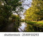 Colors of the autumn along the Villoresi canal at Monza, Brianza, Lombardy, Italy