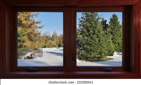 The colors of autumn -Snow in October - view from the window