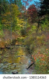 The Colors Of An Autumn Stream.  Destination Gouldsboro State Park In Pennsylvania