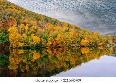 Colors of the fall with water reflection
