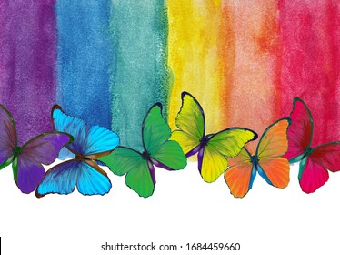 Colors of rainbow. Photo watercolor paper texture. Abstract watercolor background. Wet watercolor paper texture background. bright colorful morpho butterflies. multicolored watercolor stains. 