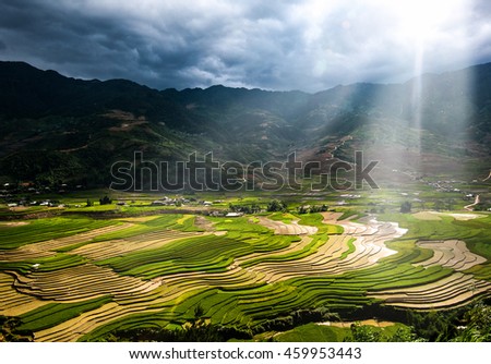 Colors of ric fields in Khau Pha Pass, Yen Bai, Vietnam