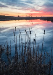 The Colors Of A Sunset Sky Are Reflected In The Calm Surface Of A Marsh In DuPage County, Illinois.