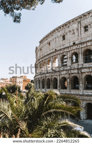 The colosseum in Rome, Italy with Palm trees in th front.