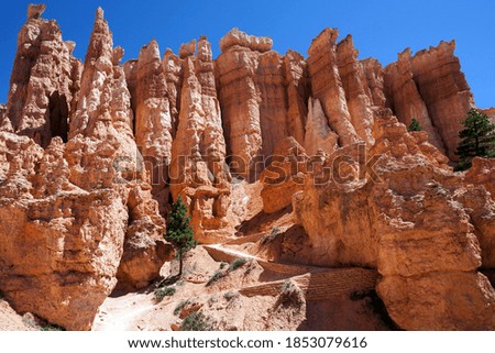 Coloured rock formations, fairy chimneys, Queens Garden Trail, Bryce Canyon National Park, Utah, USA