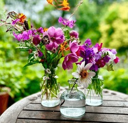 Colourful Arrangement Of English Country Garden Flowers In Three Glass Vases On Outdoor Table. Natural And Nostalgic. Sweet Peas, Crocosima, Anemones Daisies Alliums And Dahlias.