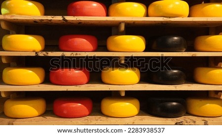 Colourful Cheese. Rows of cheese wheels in different colours and flavours red, green, yellow, blue. made in Netherlands.